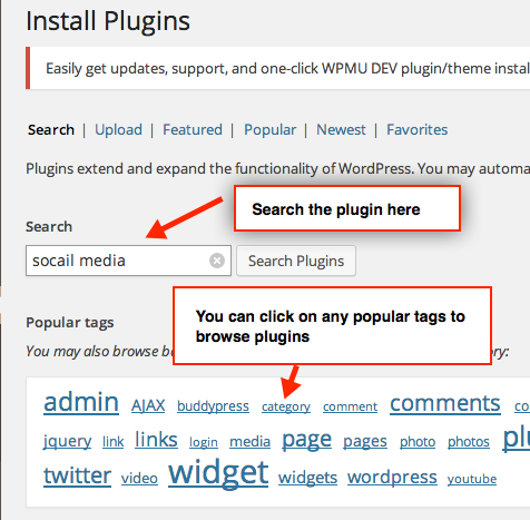 search_new_plugin